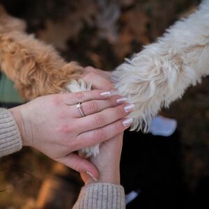 Gallery Photo 39