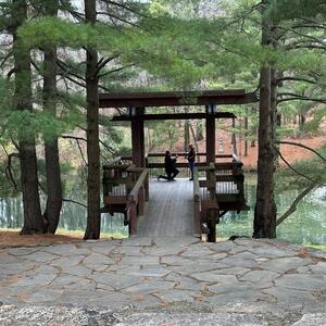 Gallery Photo 8