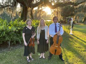 The Paradies Ensemble Duo, Trio or Quartet - String Quartet - Largo, FL - Hero Gallery 2