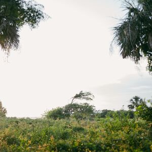 Gallery Photo 51