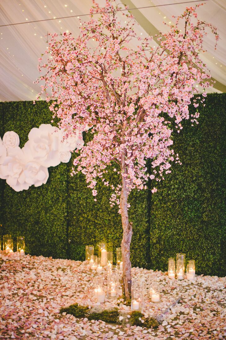 Cherry Blossom Tree And Candles