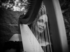 Erika the Harpist - Harpist - West Harrison, NY - Hero Gallery 2