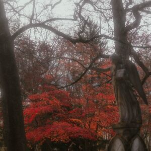 Gallery Photo 12