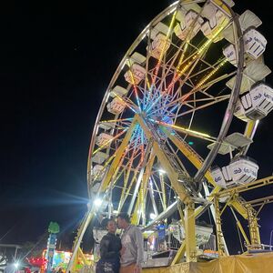 Gallery Photo 8