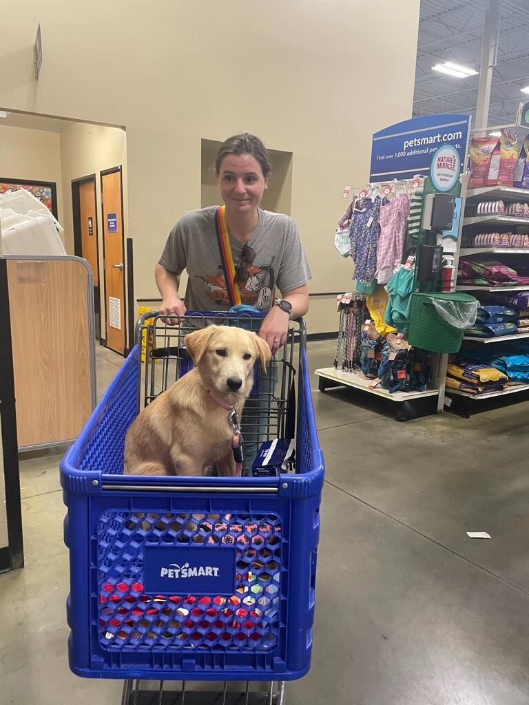 Sunny's Adoption Day!