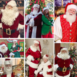 The Pure Imagination Santa Co., profile image