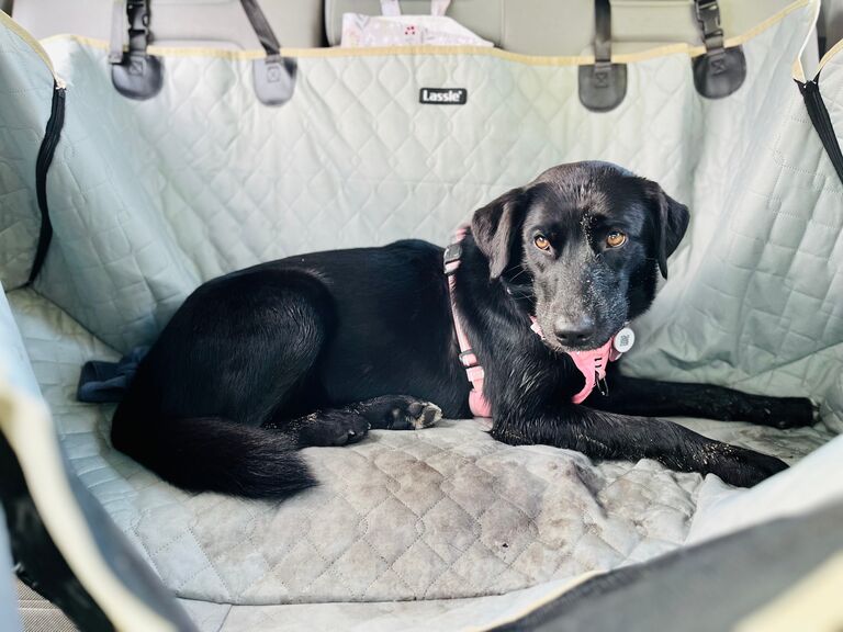 Beatrix covered in sand after her first beach trip.