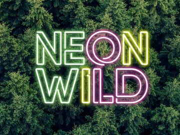 Neon Wild - Variety Band - Kansas City, MO - Hero Main