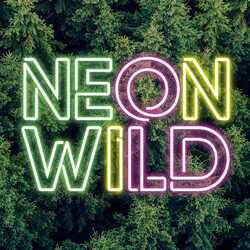 Neon Wild, profile image