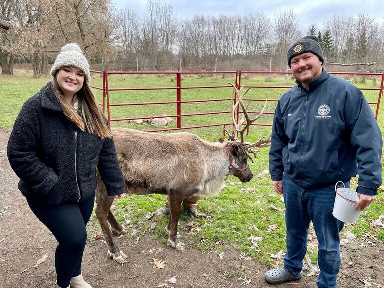 We got to feed a reindeer named Moose!