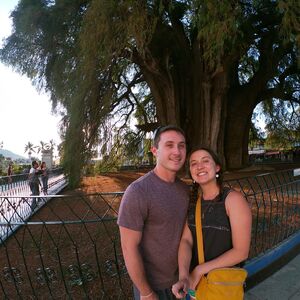 Gallery Photo 94
