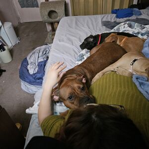 Gallery Photo 176