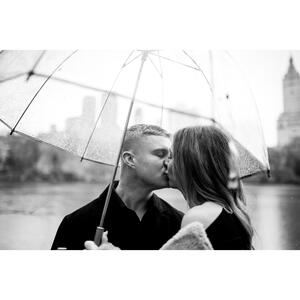 Gallery Photo 8