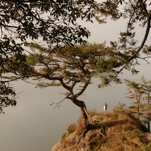 Gallery Photo 177