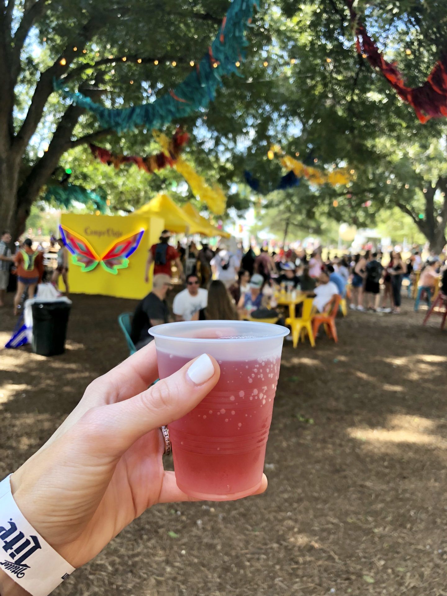 Soirée à theme Coachella : déguisements et deco Festival !