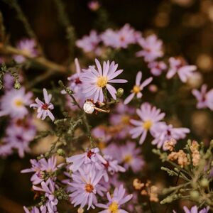 Gallery Photo 43