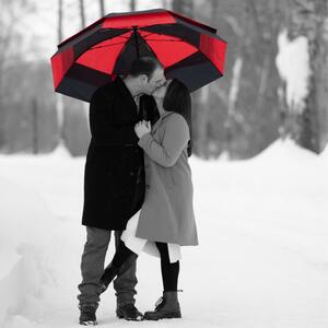 Gallery Photo 31