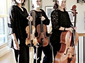 The Bloom Trio - String Quartet - Harrisonburg, VA - Hero Gallery 2