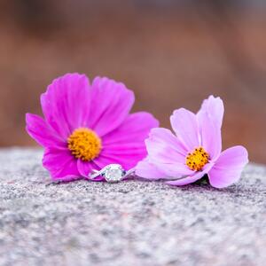 Gallery Photo 30