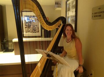 Deb Beyer - Harpist - Peoria, IL - Hero Main