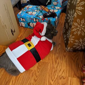 Gallery Photo 29