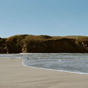 Gallery Photo 26