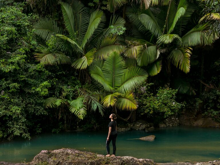 El Yunque National Forest in Puerto Rico
