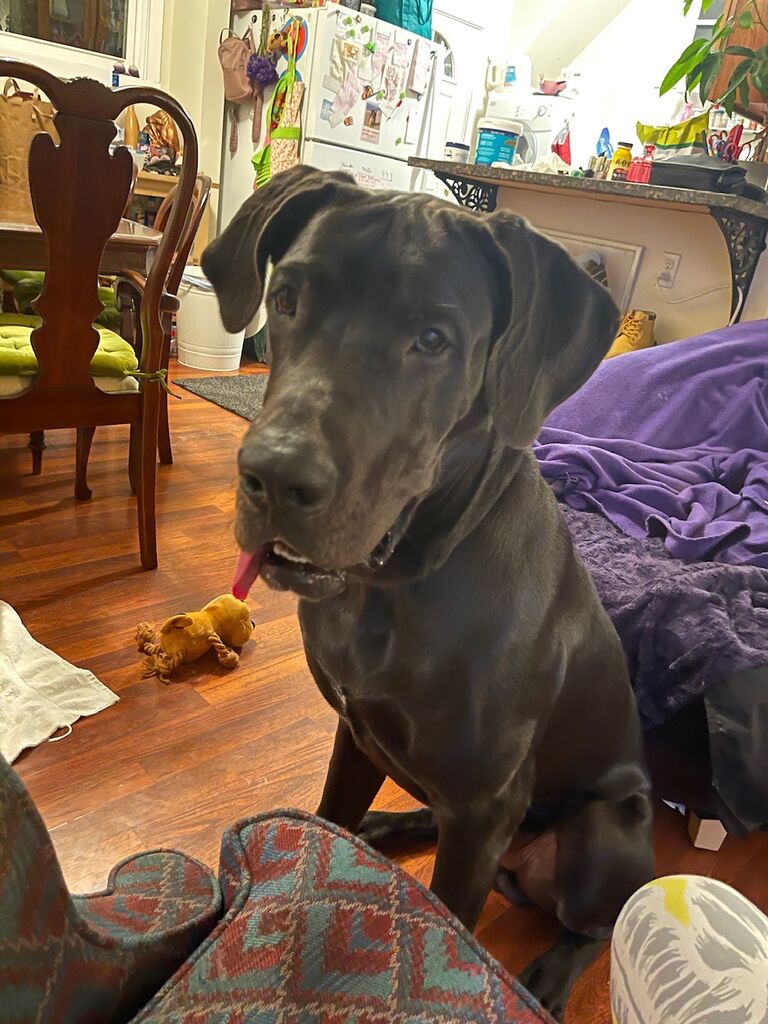 Always ready to play!