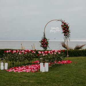 Gallery Photo 2