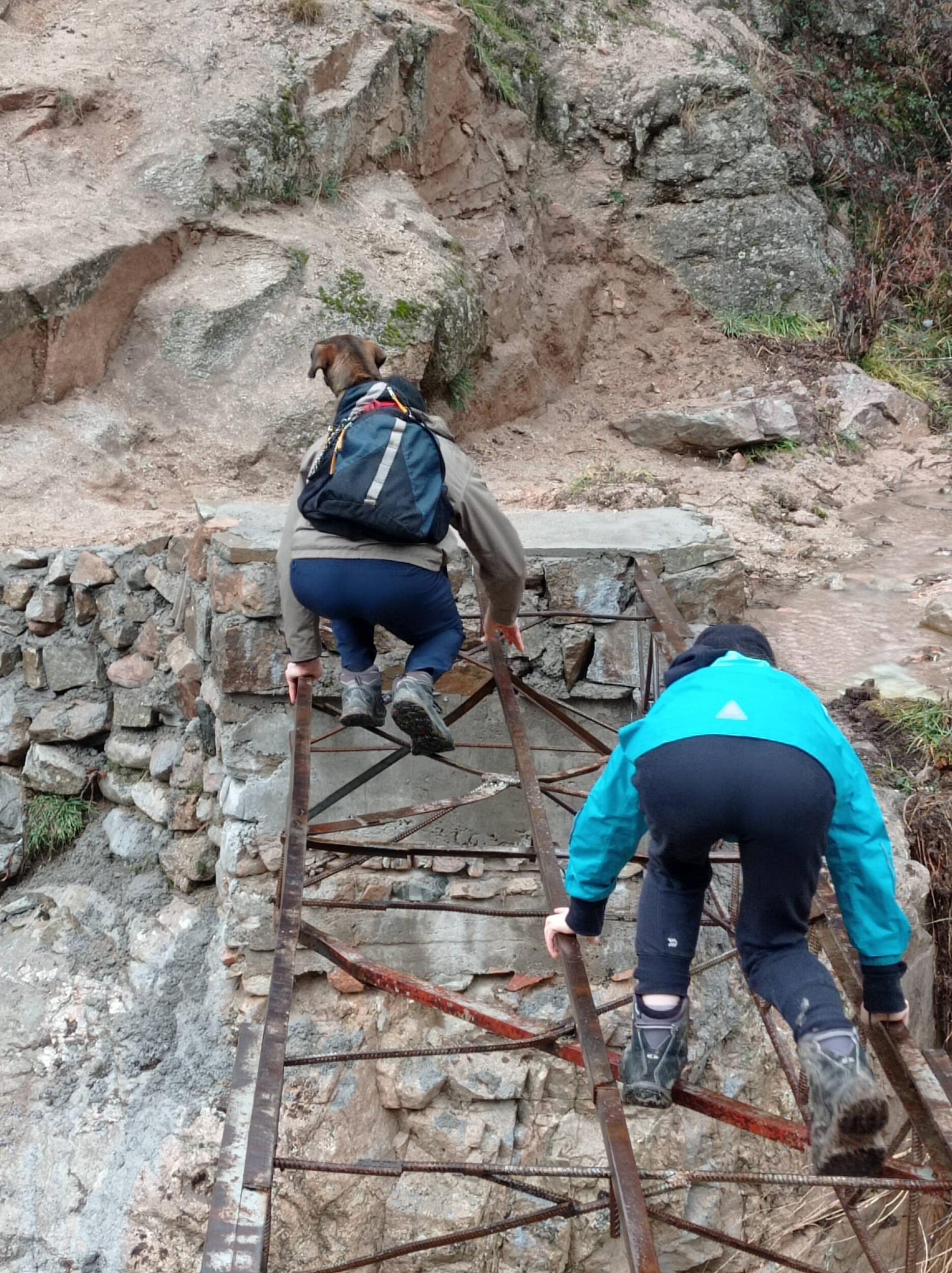 Especially with Jadda (the dog) involved.