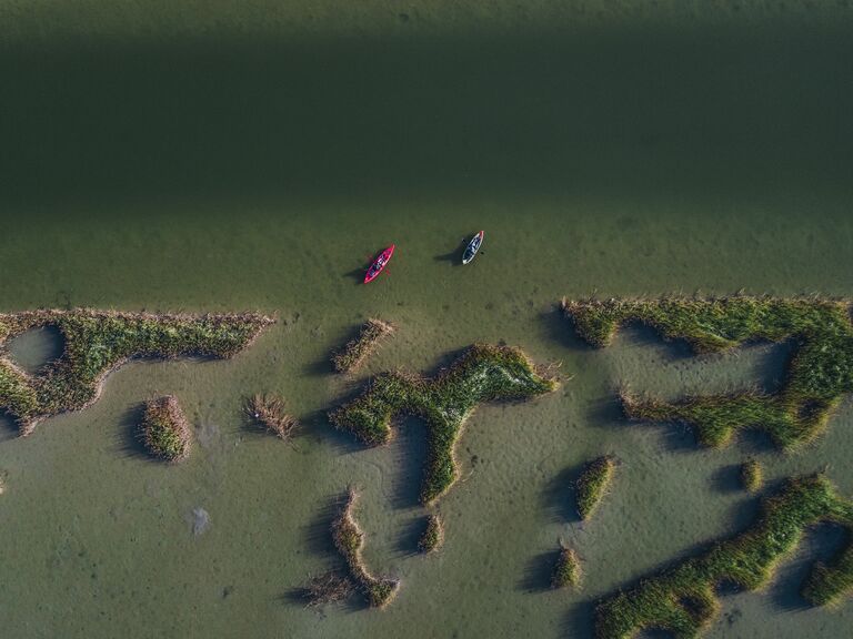 Kayaks out on the water.