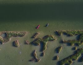 Kayaks out on the water.