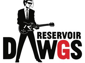 THE RESERVOIR DAWGS - Cover Band - New York City, NY - Hero Gallery 1