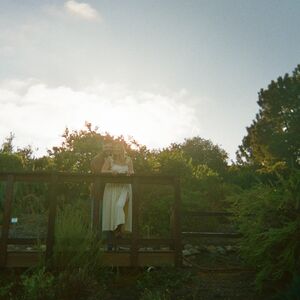 Gallery Photo 11