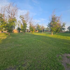 Gallery Photo 4