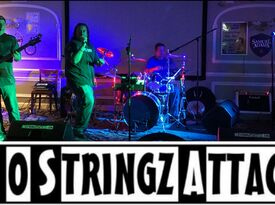 Moe Stringz - Acoustic Band - Baltimore, MD - Hero Gallery 2