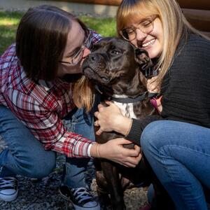 Gallery Photo 1