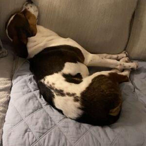 Gallery Photo 121