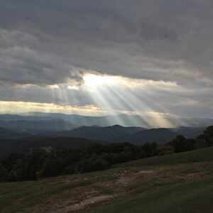 Gallery Photo 11