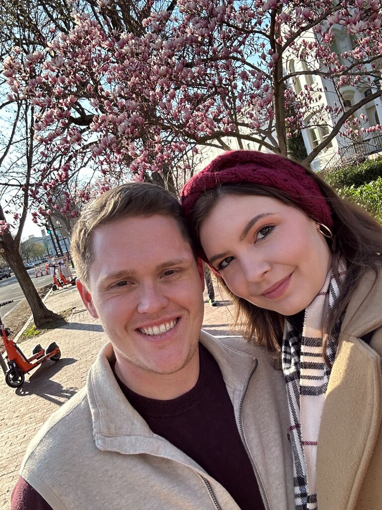 cherry-blossom season...