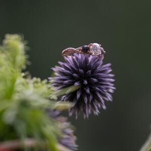 Gallery Photo 45