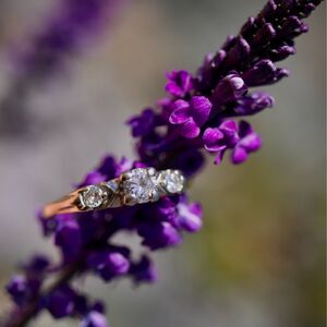 Gallery Photo 21