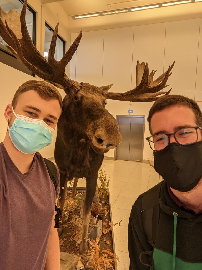 Since our birthdays are two days apart, we try to celebrate somewhere fun. We visited Maine & Acadia National Park in 2021.