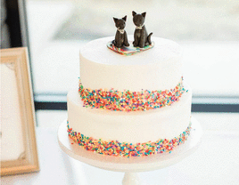 Two black cat animal wedding cake toppers.