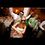 DJC Productions Entertainment - Footer