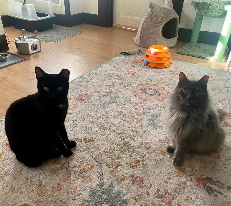 Cat parents to Freya and Minerva (“Minnie”). 