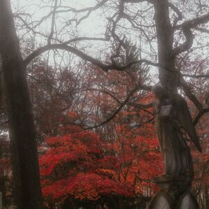 Gallery Photo 13