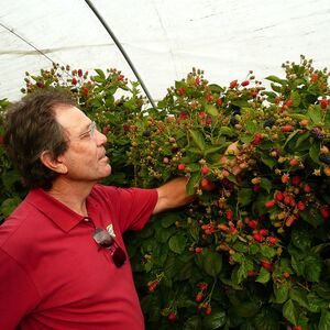 Gallery Photo 28