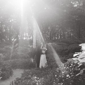 Gallery Photo 20