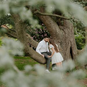 Gallery Photo 11